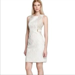 Calvin Klein 12 Tan  Cream Jacquard Sheath Dress